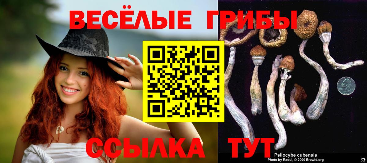 Галлюциногенные грибы MAGIC MUSHROOMS Балашов